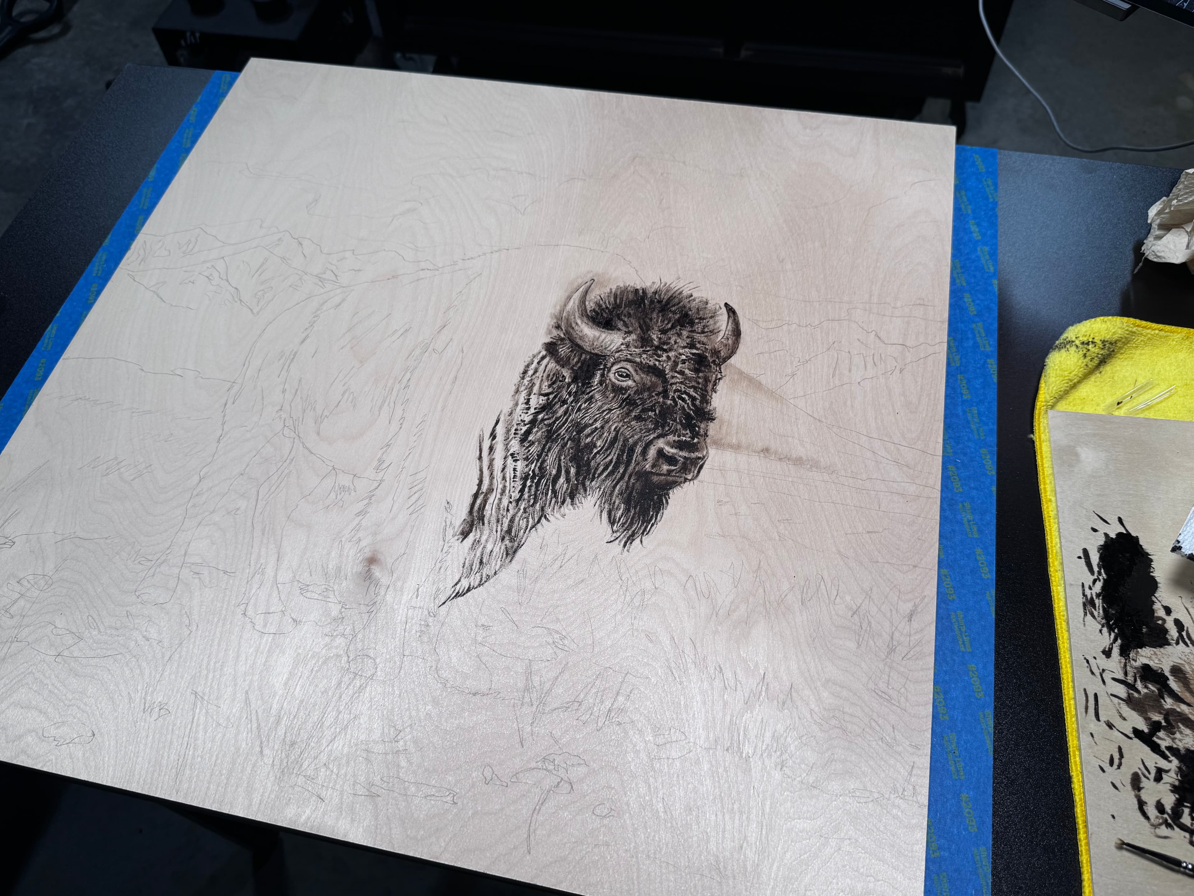 American Bison progress 1