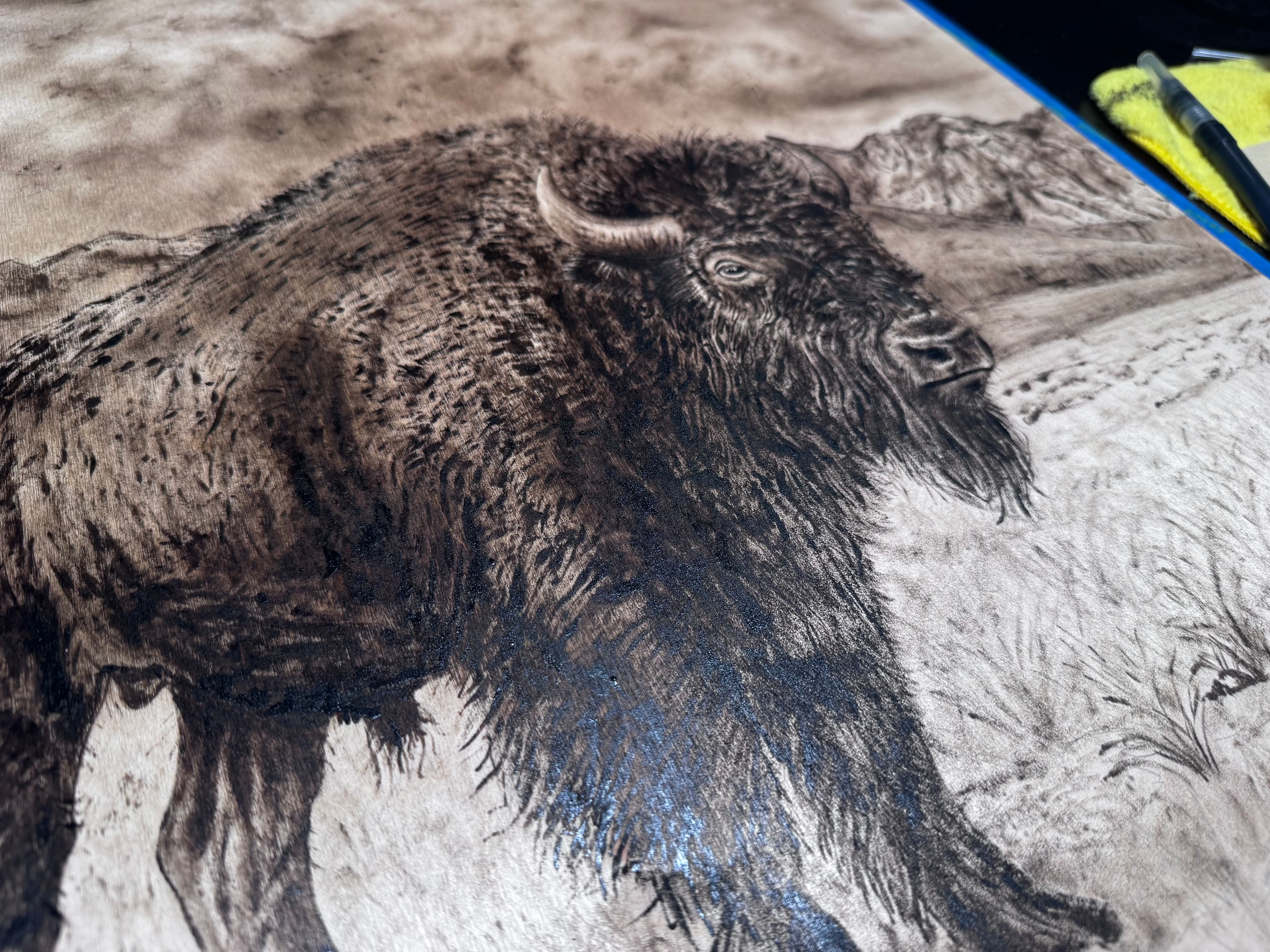 American Bison progress 2